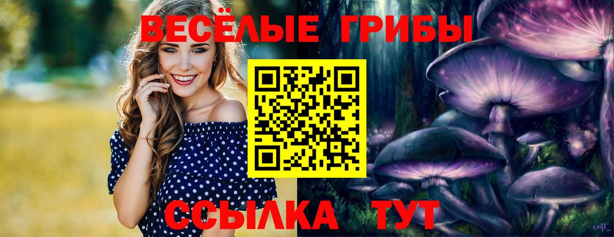 Псилоцибиновые грибы прущие грибы Кизляр